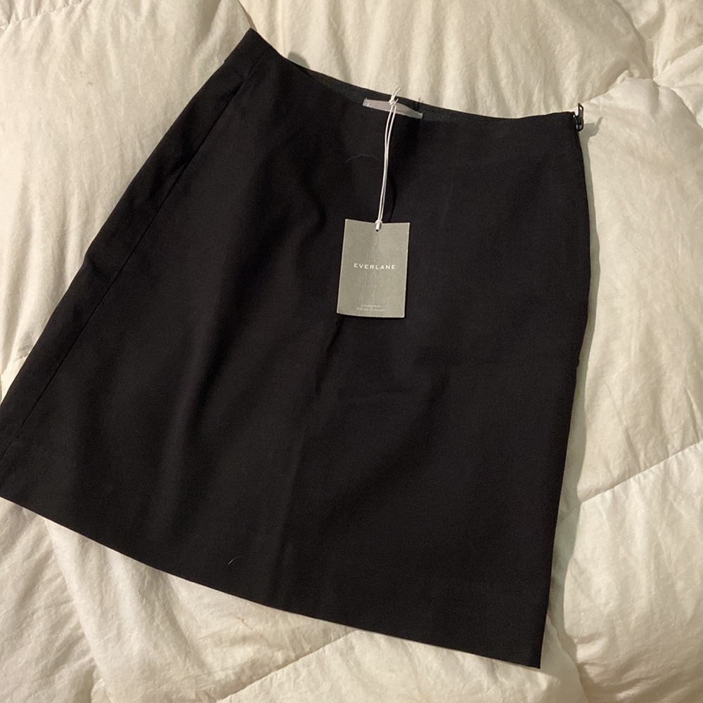 Everlane Skirt - Size 2. Brand new with tags, never worn.